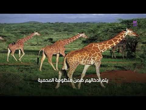 محميات طبيعية 