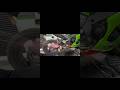 zx10r racefit exhaust sound #automobile #motovlog #zx10rsound #racefit #exhaustsound #modified