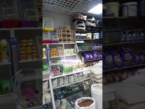 ЗООМАГАЗИН В ТАДЖИКИСТАН ПАТПИСЫВАЙТЕ.