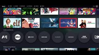 Hulu on Disney Plus Studios and Networks Tour