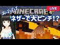 【マインクラフト】 #29 ネザー行って無事に帰れるか？!マイクラ