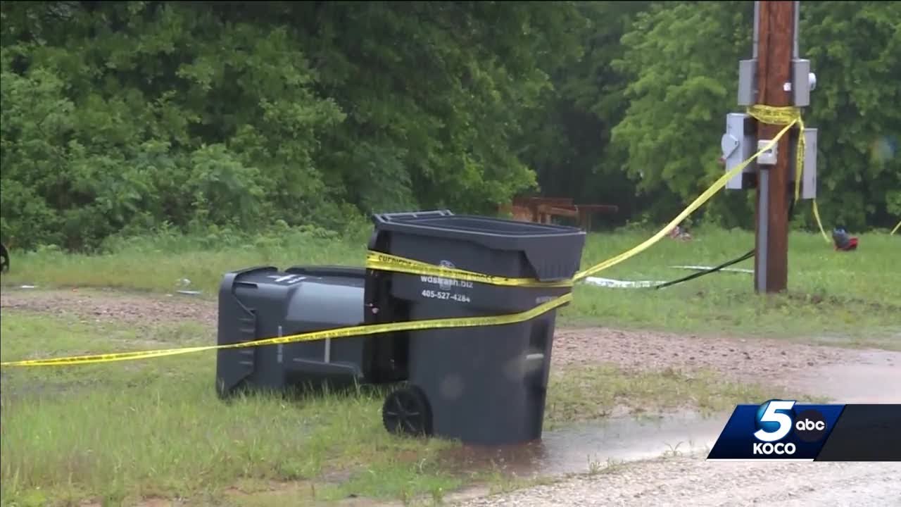 6-year-old boy dies after dog bite in Cleveland County; no arrests made ...