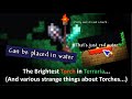 The Brightest Torch in Terraria is this... (Examining Torches in Terraria is like...)