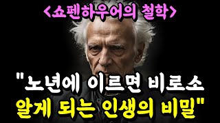 "지나고 나서야 비로소 모든 게 이해된다" | 쇼펜하우어가 말하는 '인생이라는 모자이크' | 명언 | 철학 | 오디오북