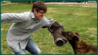 Louis Theroux Explores Americas Strangest City Full Of Dangerous Dogs