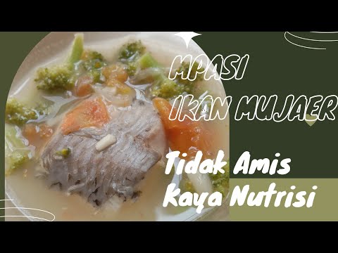 Cara Mengolah Ikan Mujair Untuk Mpasi