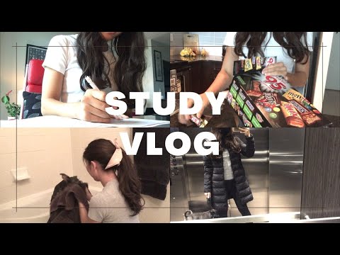 (Eng)カナダ看護留学と日本の通信看護学士の看護学生vlog｜Nursing student's vlog in Canada