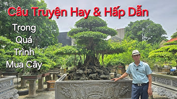 CÂU TRUYỆN LY KỲ & HẤP DẪN anh DŨNG TP Ninh Bình * Từng Bỏ Ra 30 Cây Vàng Để Sở Hữu TP QUÝ năm 2007.