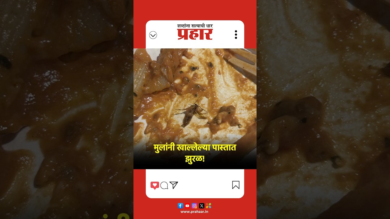 Mumbai | मुंबईतील किड्स प्ले झोनमध्ये अन्नसुरक्षेचा गंभीर प्रश्न, पास्तामध्ये आढळला झुरळ |