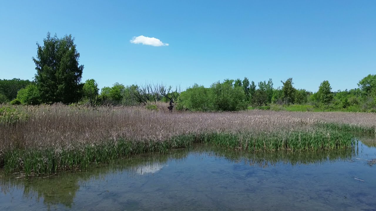 East Point Park Bird Sanctuary