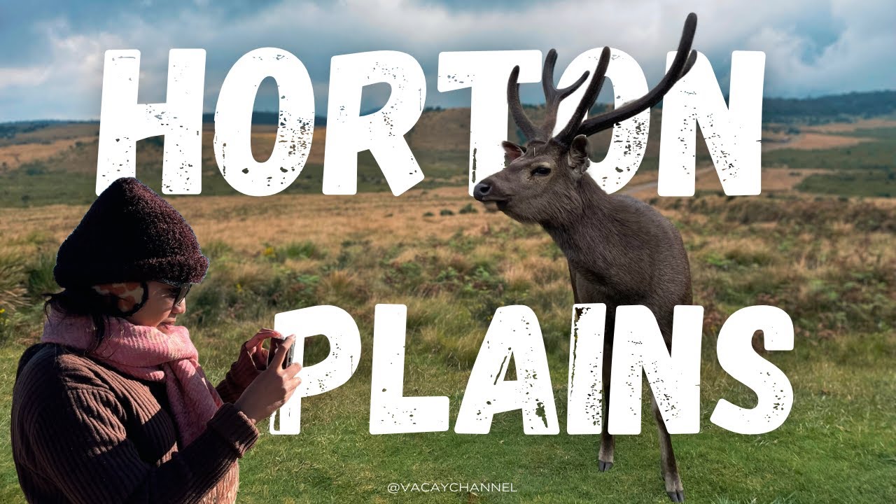 Путешествие в национальный парк Хортон-Плейнс #travelvlog #srilanka