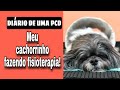 Diário de uma PcD: Meu cachorrinho fazendo fisioterapia!