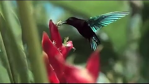 تلاوة عطرة لم اجد لها مثيل ما تيسر من سورة البقرة الشيخ محمود فيصل