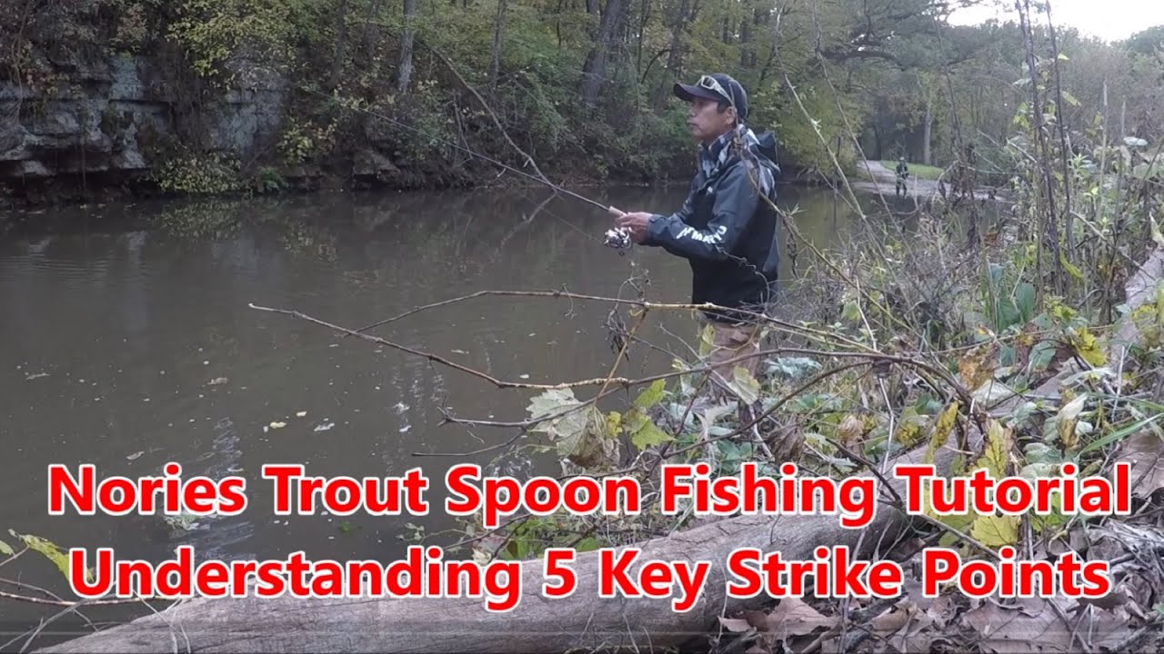 Nories Trout Spoon Fishing - Understanding 5 key strike points