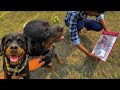 Main mera dog in ground flay ￼mini  Jhaj ￼#trending #vlog #rottweiler #funny dog full watch guys 🤭🥰￼