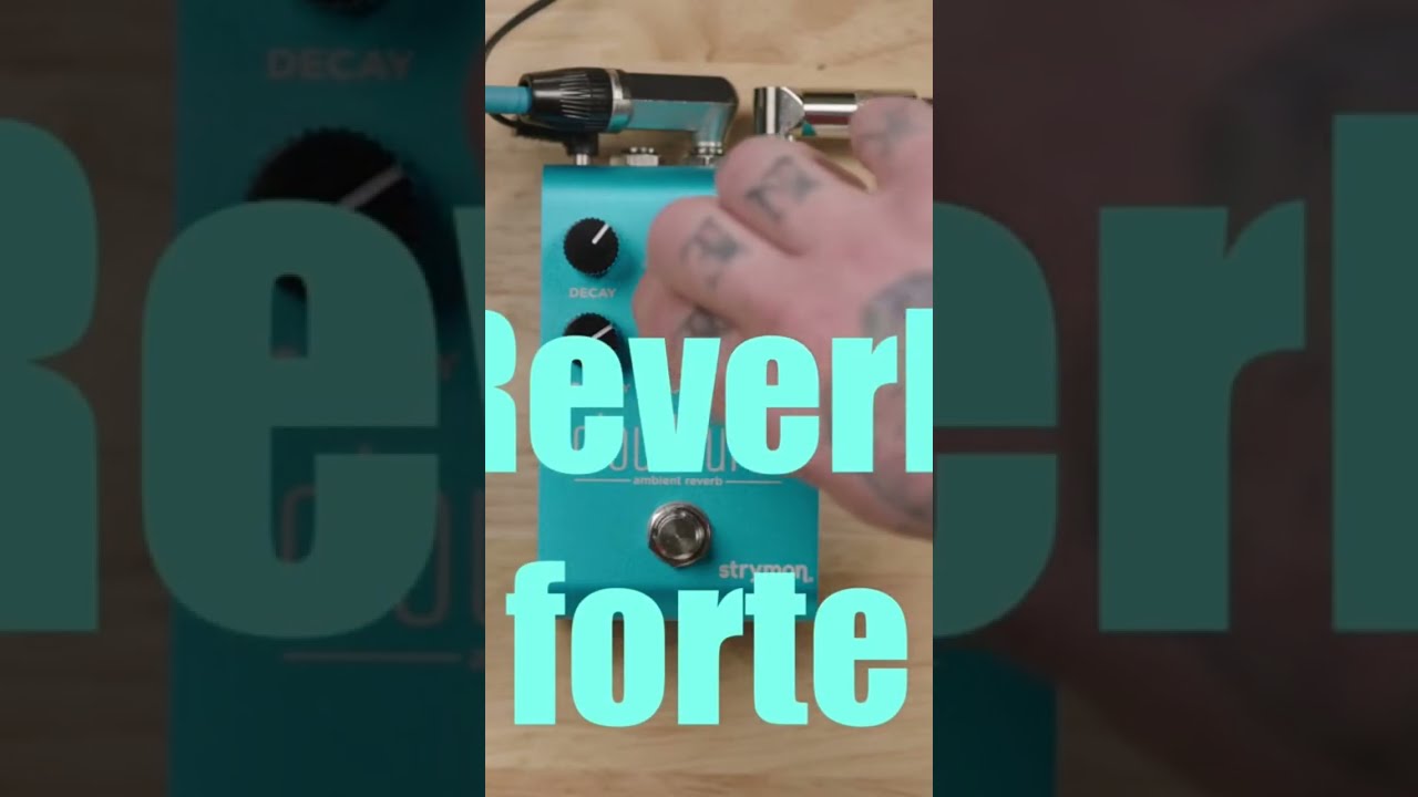 ギター STRYMON cloudburst Cloudburst Ambient Reverb - Strymon