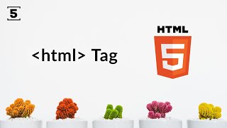 html tag | The Root Element in HTML