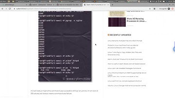 #Linux #Terminal #Bash #HACK! #Live #Dev #Session #Learn how to Restart Programs If They Close