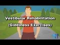 Vestibular Rehabilitation Giddiness Exercises