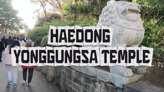 SEOUL ADVENTURE DAY 1 PART 1 - BUSAN DAY TOUR