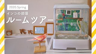 【インコのルームツアー】きなもものケージレイアウト | 星野源さん×きなももコラボ | リマスターシロちゃん×ギター