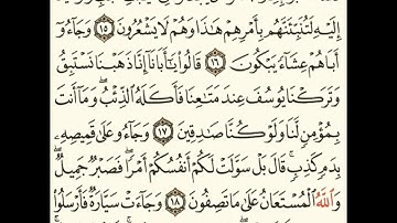 صفحة 237 من سورة يوسف