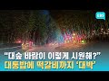 담양 대나무축제 5월 11일 개막...죽녹원 첫 야간 개장 / EBS고향사랑뉴스