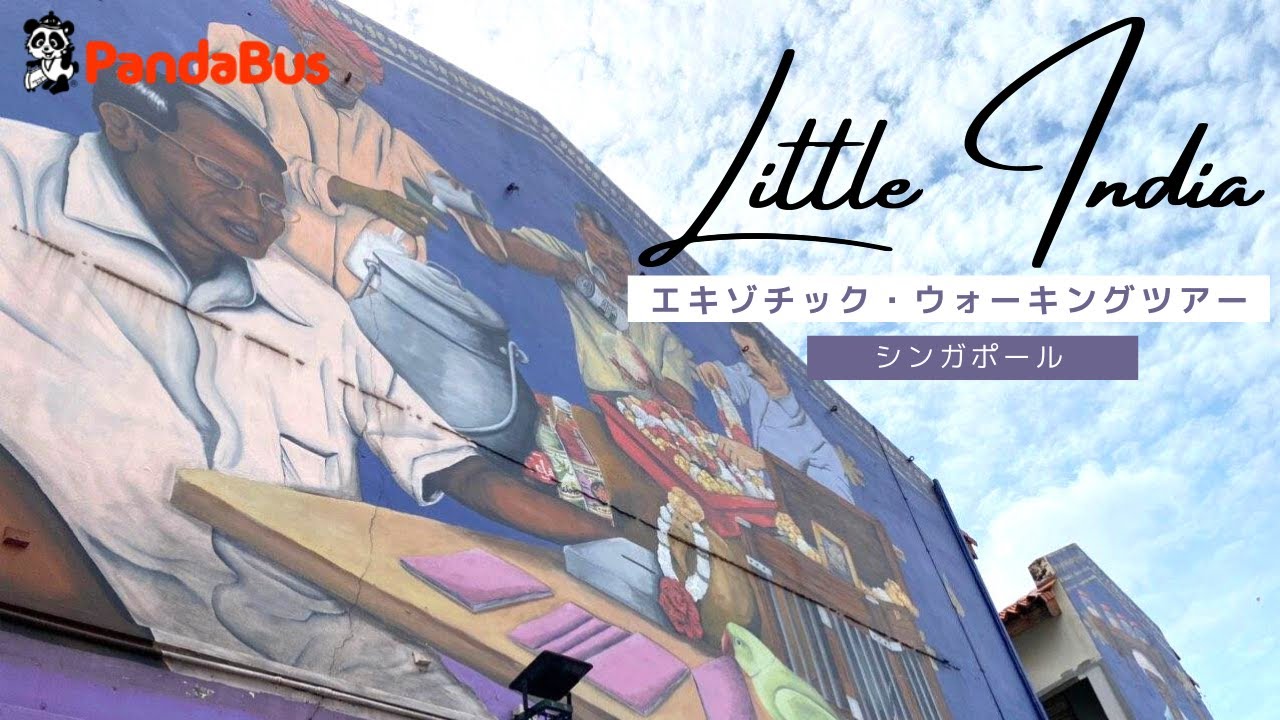 シンガポール 歩いてわかる 知られざるリトルインディアのエキゾチック ウォーキングツアー Youtube