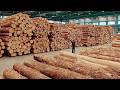 American Hardwood Processed with Diamond Precision - Modern Logging Technology Through US Wilderness