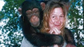 Travis The Monkey 911 phone call
