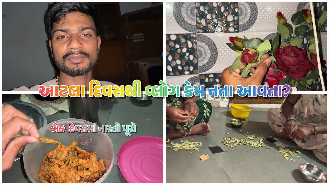 આટલા દિવસથી વ્લોગ કેમ નતા આવતા? 🥺 || gujrativlog 