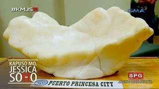 Kapuso Mo, Jessica Soho: The giant pearl of Puerto Princesa