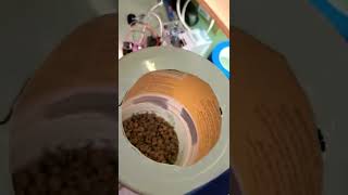 fluid bed roaster test with 300 350 375 and 400 g of coffee beans.