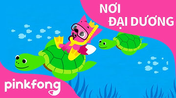 Nơi Đại Dương | Bài hát về Động Vật | Pinkfong! Những bài hát cho trẻ em