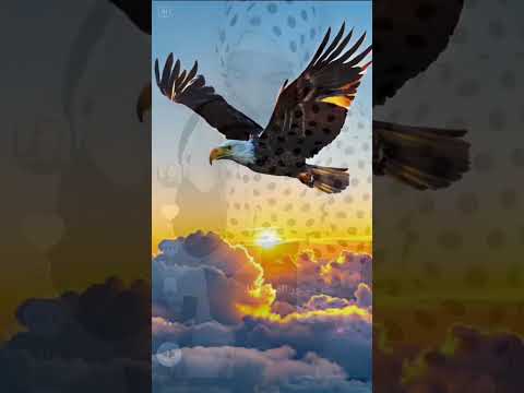 احنا فوق الصقر فوق