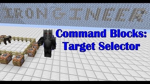 Minecraft Java Edition 1.9 - Command Block: Target Selector