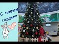 Наши праздничные будни! С новым годом, друзья!# VLOG