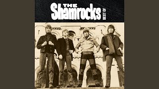 Video thumbnail of "The Shamrocks - Travelin' Man"