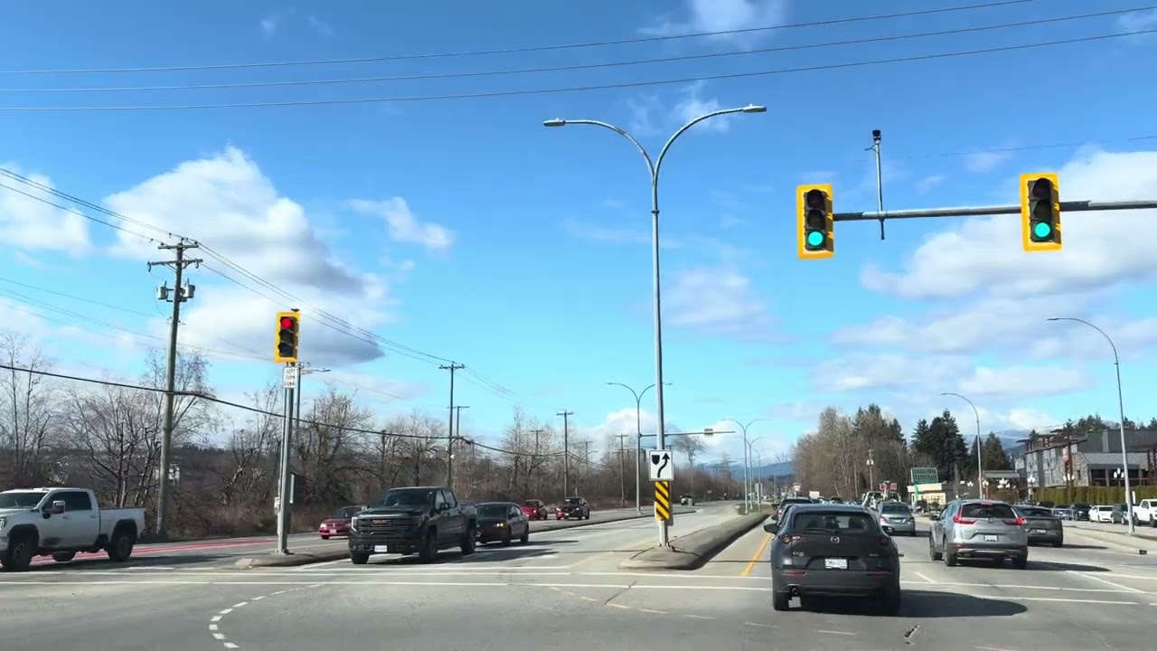 Sunny 😎 2.19.2026