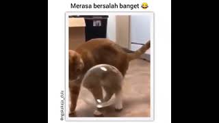 si oyen merasa salah