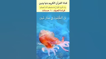 في أقل من نصف دقيقة من أروع تلاوات القارئ الباكي الشيخ محمد صديق المنشاوي من سورة لقمان  #قران_كريم