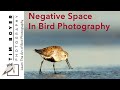 Negative Space In Bird Photography