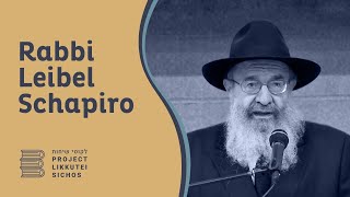 Vol 23 - Bamidbar 2 - Rabbi Leib Schapiro