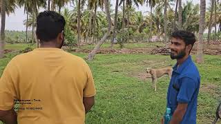 ஒரு டெக்னீஷியனின் நாள்