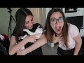 MELINA CONOCE AL BEBE GATO | LYNA Y YO NOS LLEVAMOS UNA SORPRESA