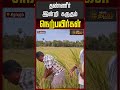 தண்ணீர் இன்றி கருகும் நெற்பயிர்கள்..! | Chidambaram | Tamil News