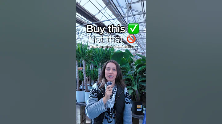 Buy THIS not That- Beginner plants #houseplants #beginnerplants