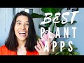 My top 3 plant apps every plant parent needs  reviewing every free house plant and gardening app