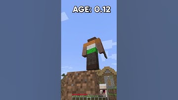 MLG Troll at Every Age in Minecraft (World