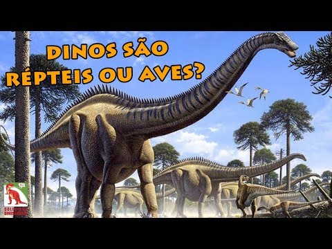 Vídeo: Diferença Entre Dinossauro E Réptil